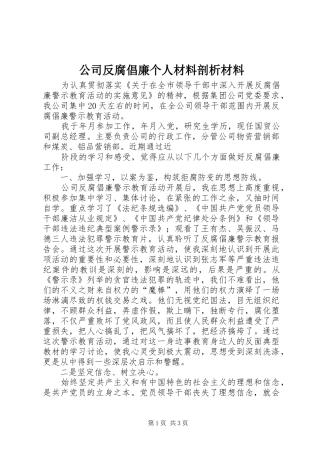 2024年公司反腐倡廉个人材料剖析材料