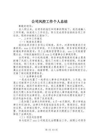 2024年公司风控工作个人总结