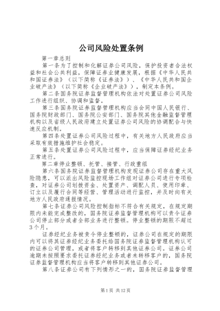 2024年公司风险处置条例