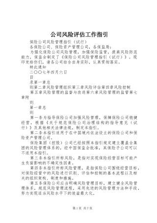 2024年公司风险评估工作指引