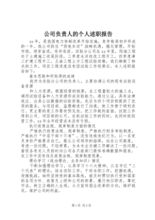 2024年公司负责人的个人述职报告