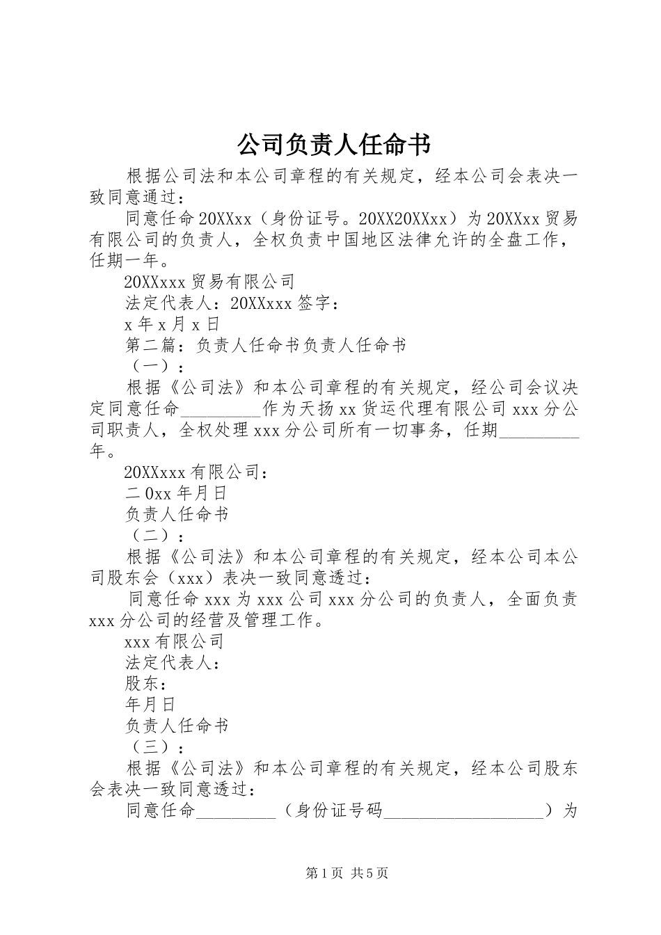 2024年公司负责人任命书_第1页