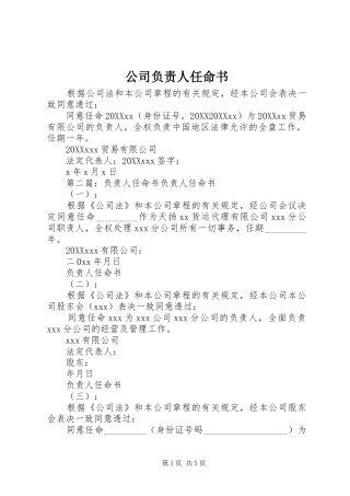 2024年公司负责人任命书