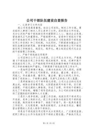 2024年公司干部队伍建设自查报告