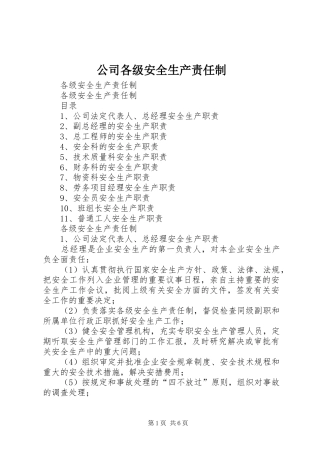 2024年公司各级安全生产责任制