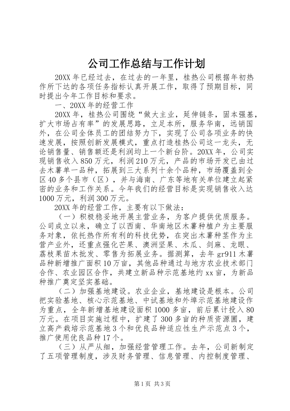 2024年公司工作总结与工作计划_第1页