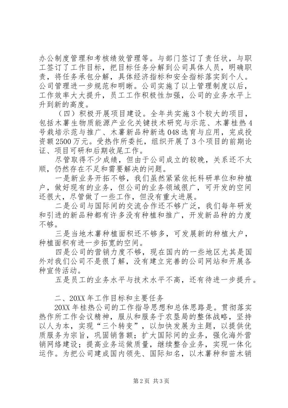 2024年公司工作总结与工作计划_第2页