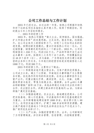 2024年公司工作总结与工作计划