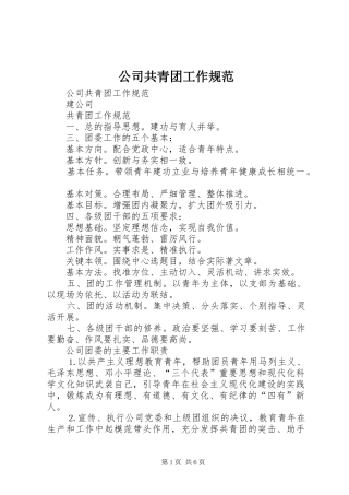 2024年公司共青团工作规范