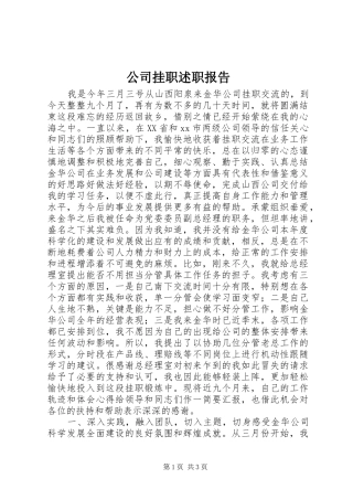 2024年公司挂职述职报告