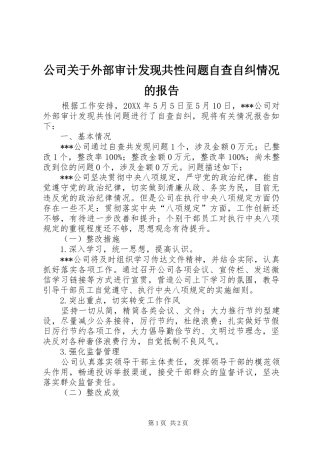 2024年公司关于外部审计发现共性问题自查自纠情况的报告