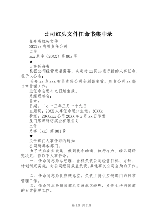 2024年公司红头文件任命书集中录
