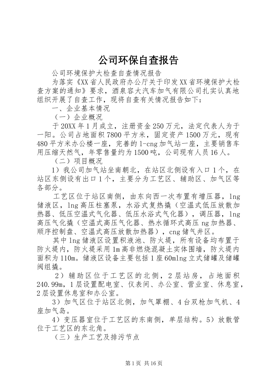 2024年公司环保自查报告_第1页