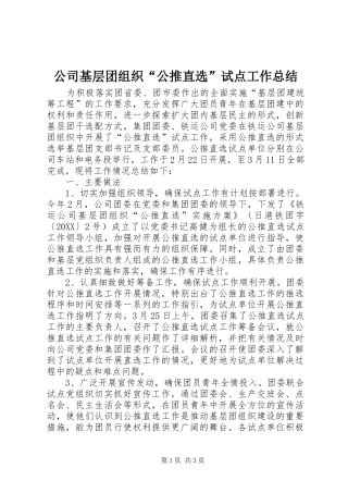 2024年公司基层团组织公推直选试点工作总结