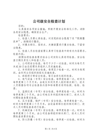 2024年公司级安全检查计划