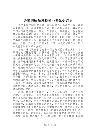 2024年公司纪律作风整顿心得体会范文
