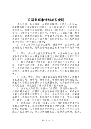 2024年公司监察审计部部长竞聘