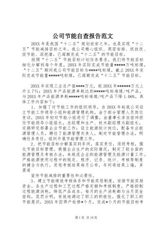 2024年公司节能自查报告范文