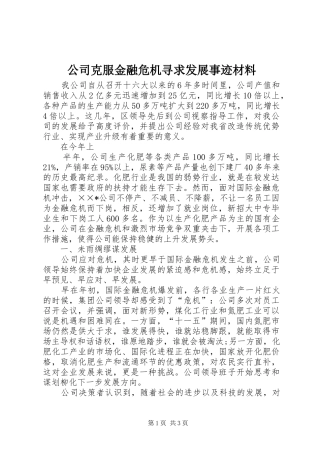 2024年公司克服金融危机寻求发展事迹材料