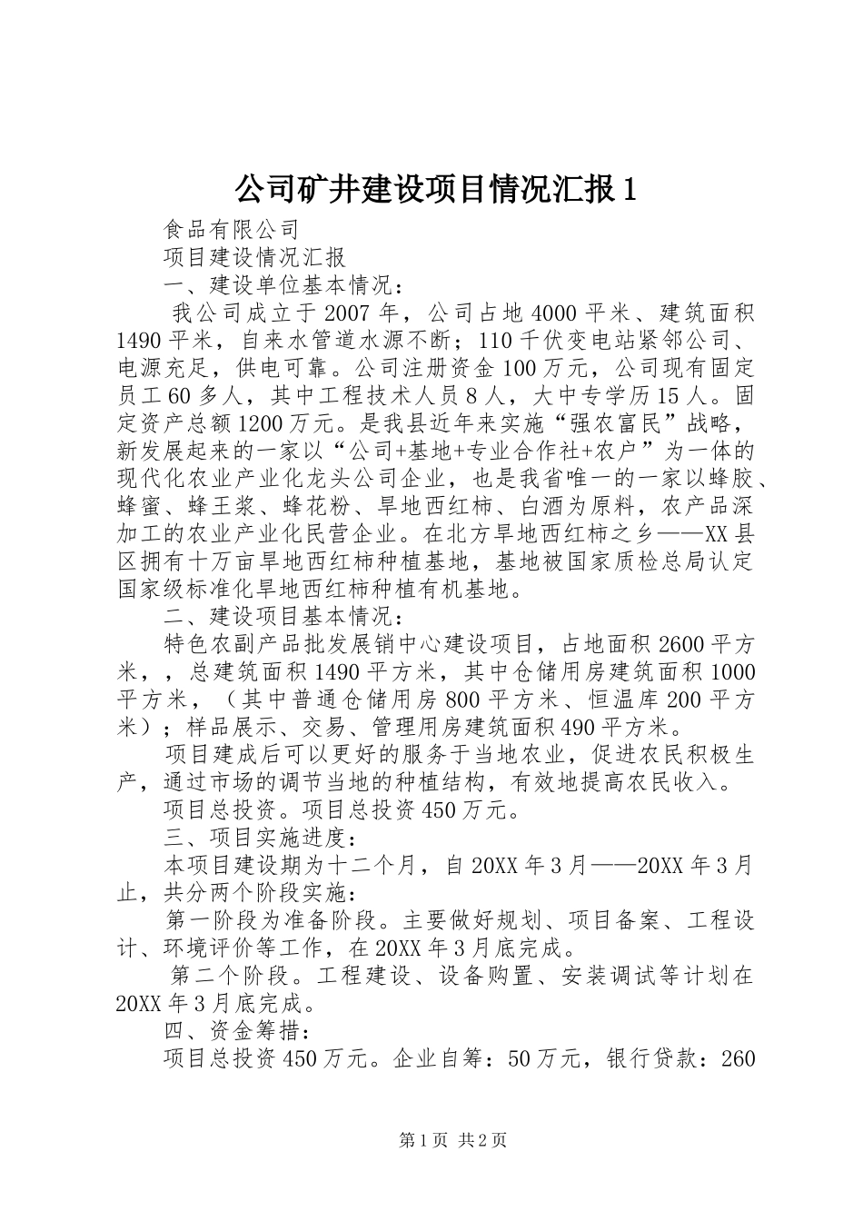 2024年公司矿井建设项目情况汇报_第1页