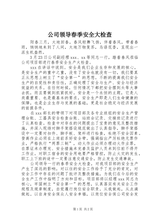 2024年公司领导春季安全大检查
