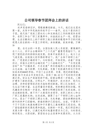 2024年公司领导春节团拜会上的致辞