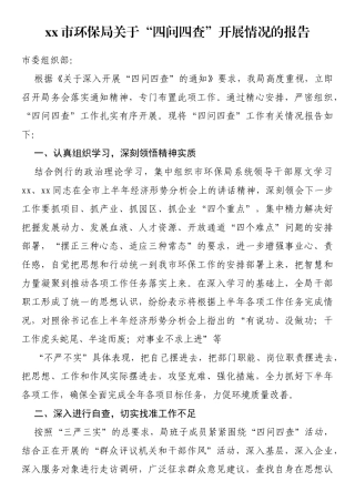 市环保局关于“四问四查”开展情况的报告