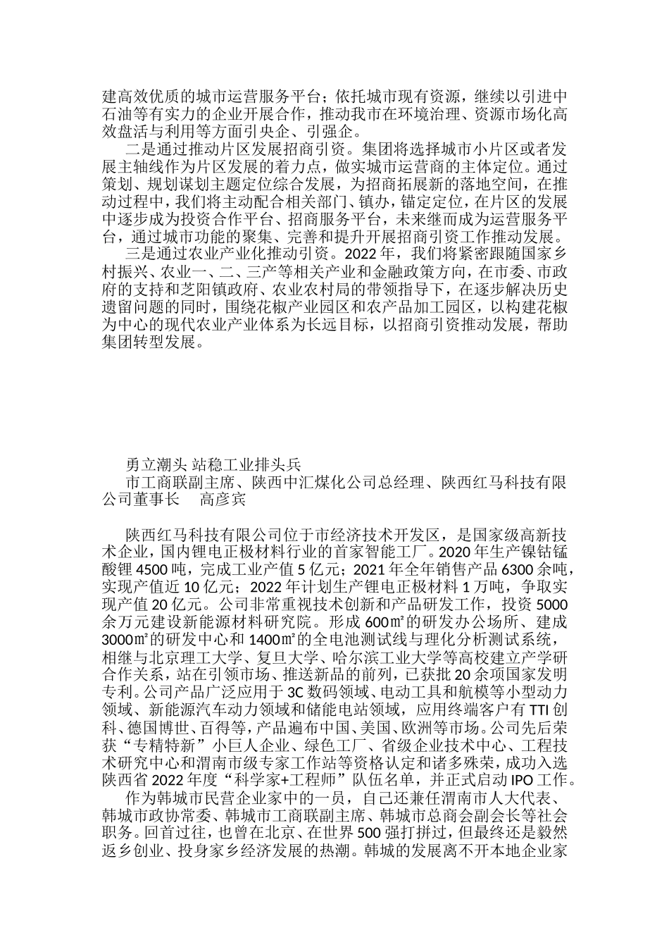 全市招商引资工作会议发言汇编_第3页