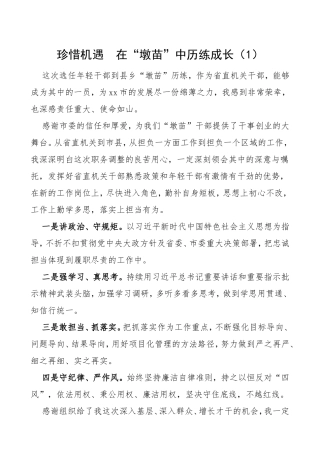 3篇年轻干部挂职干部座谈会交流发言材料3篇青年干部心得体会.doc