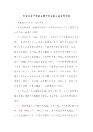 在安全生产委员会第四次全体会议上的发言