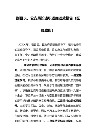 副县长、公安局长述职述廉述效报告（区县政府）