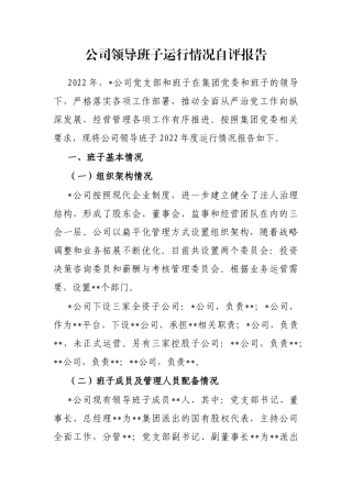 公司领导班子运行情况自评报告