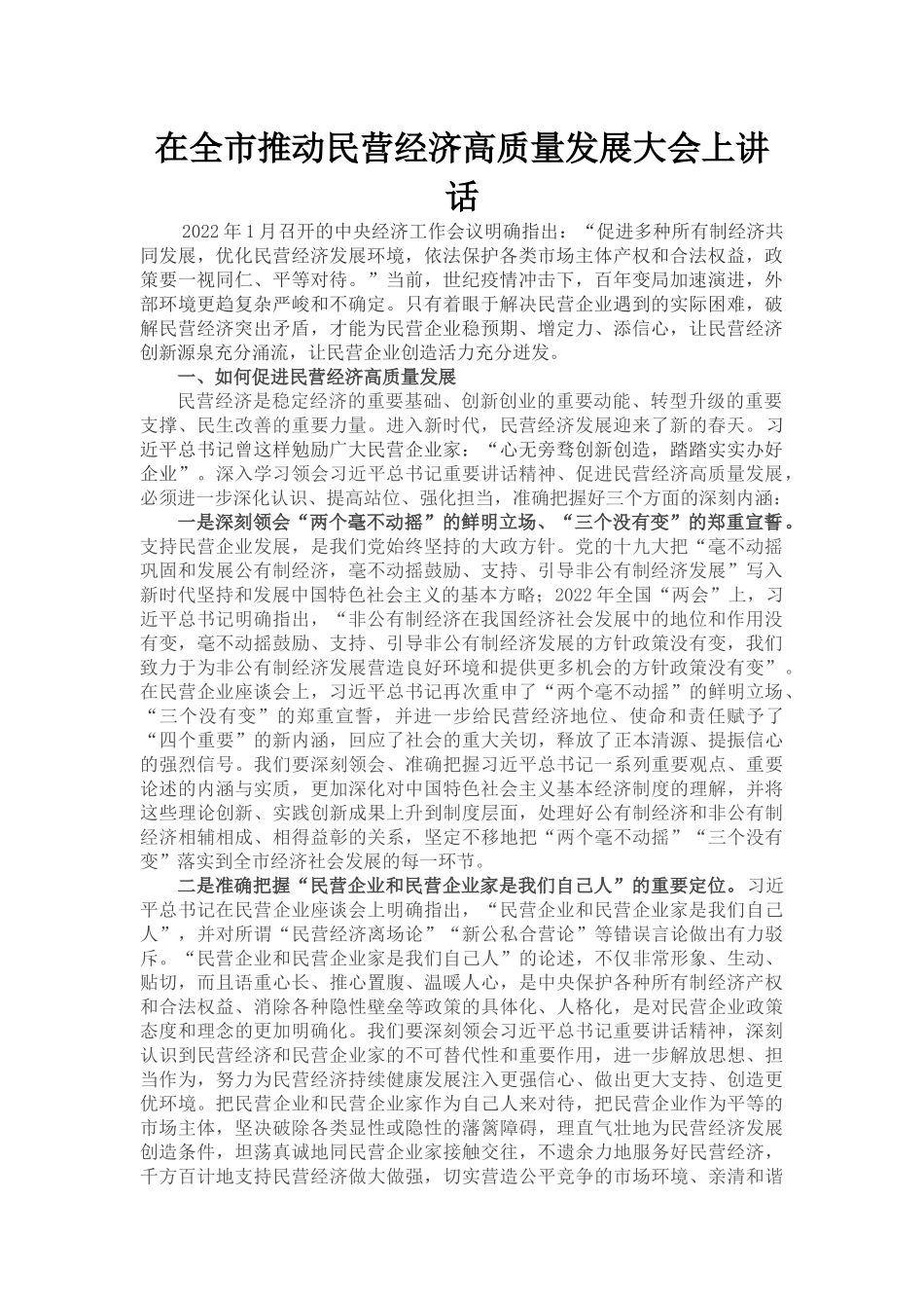 在全市推动民营经济高质量发展大会上讲话_第1页
