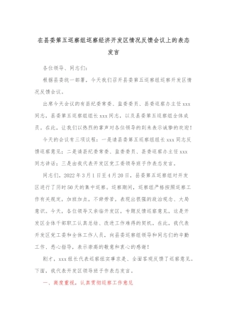 在县委第五巡察组巡察经济开发区情况反馈会议上的表态发言 (1)