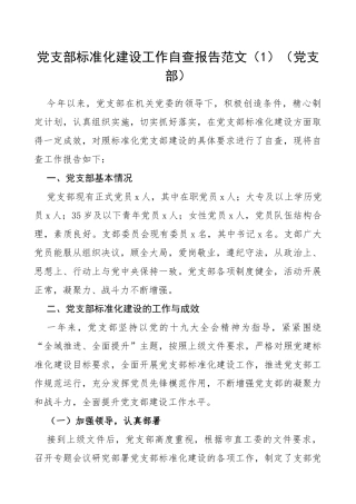 3篇党支部标准化规范化建设工作自查报告1