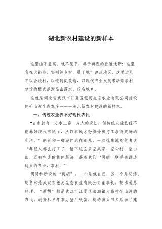 15-湖北新农村建设的新样本