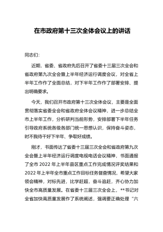在市政府第十三次全体会议上的讲话