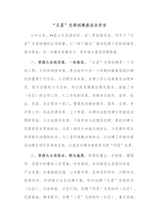 “五星”支部创建座谈会发言