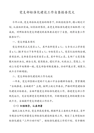 党支部标准化建设工作自查报告范文