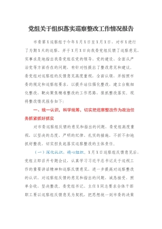 党组关于组织落实巡察整改工作情况报告