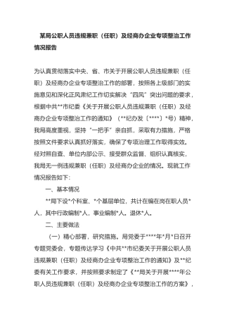 某局公职人员违规兼职（任职）及经商办企业专项整治工作情况报告