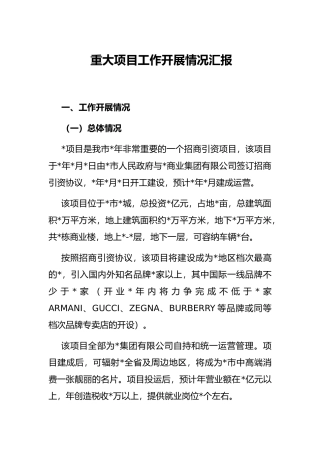 重大项目工作开展情况汇报