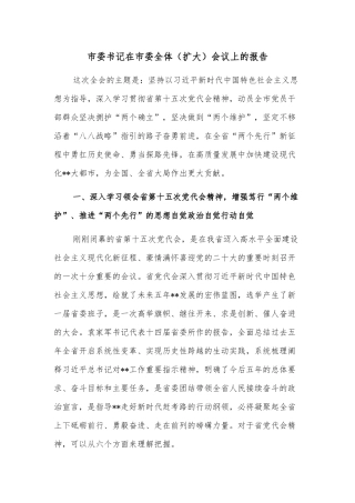 市委书记在市委全体（扩大）会议上的报告