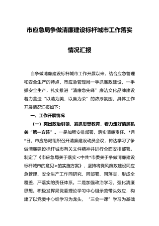 市应急局争做清廉建设标杆城市工作落实情况汇报