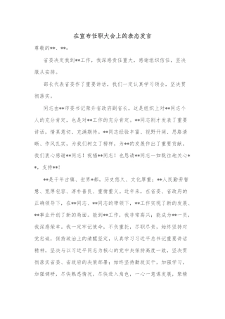 在宣布任职大会上的表态发言