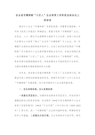 在全省专精特新“小巨人”企业培育工作阶段总结会议上的讲话