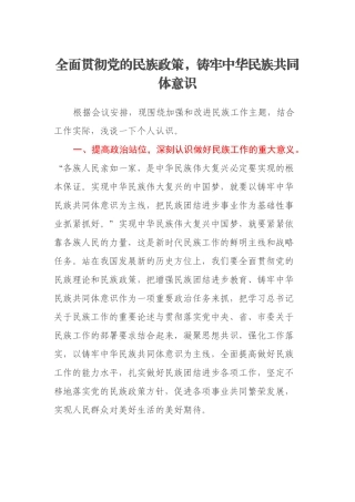全面贯彻党的民族政策，铸牢中华民族共同体意识