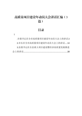 高质量项目建设年动员大会讲话汇编（3篇）