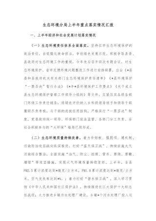 生态环境分局上半年重点落实情况汇报