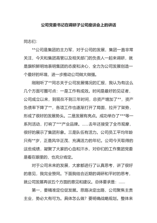 公司党委书记在调研子公司座谈会上的讲话